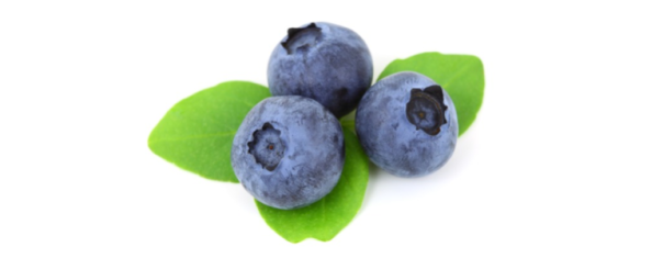 Ingredients of All-Natural Blueberries