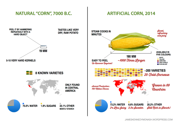 artificial natural corn james kennedy monash science chemistry