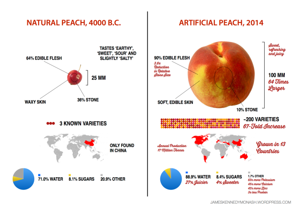 Artificial vs Natural Peach jameskennedymonash